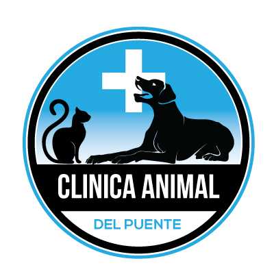 Clinica Animal